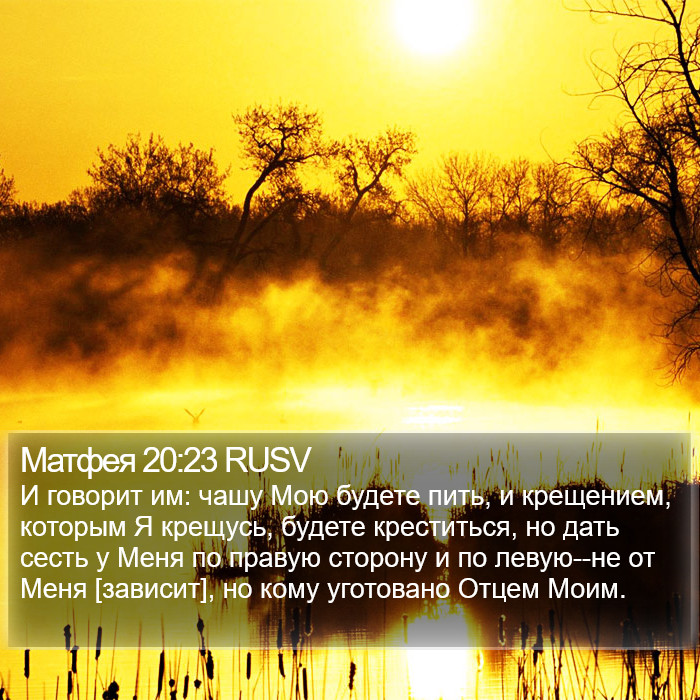 Матфея 20:23 RUSV Bible Study