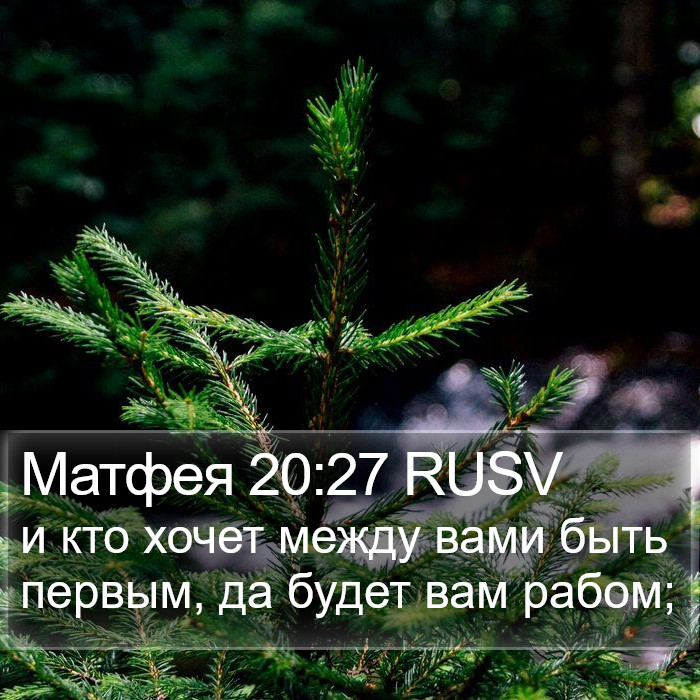 Матфея 20:27 RUSV Bible Study