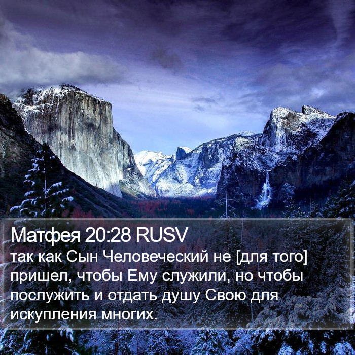 Матфея 20:28 RUSV Bible Study