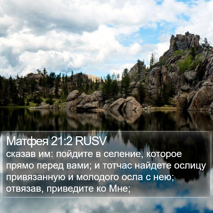Матфея 21:2 RUSV Bible Study