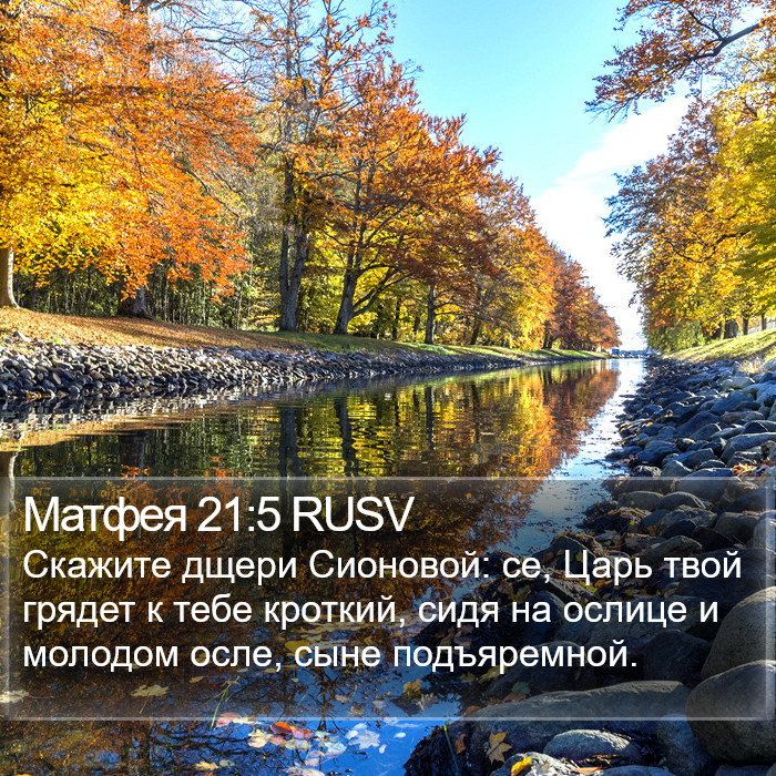 Матфея 21:5 RUSV Bible Study