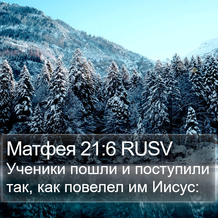 Матфея 21:6 RUSV Bible Study