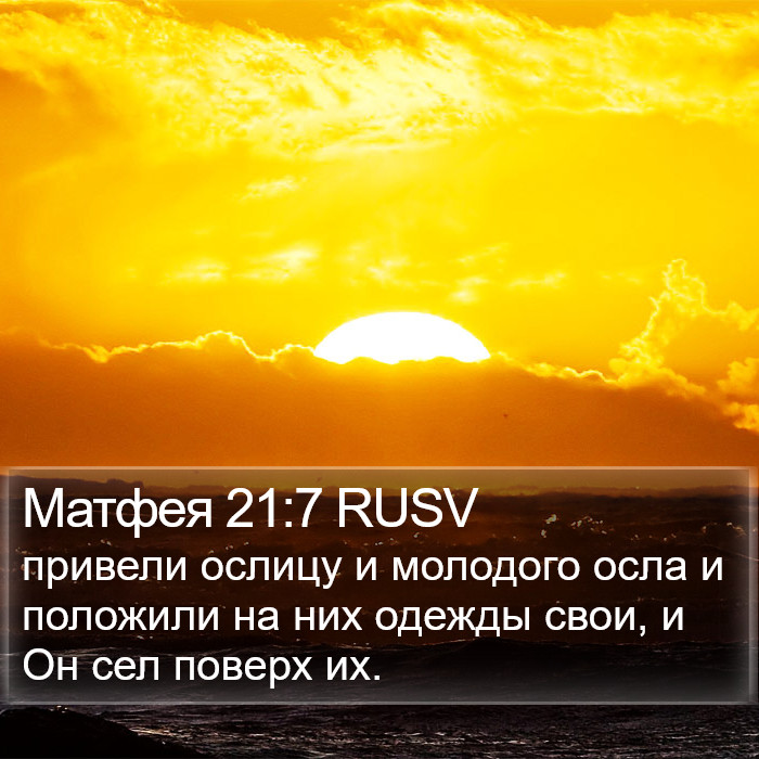Матфея 21:7 RUSV Bible Study