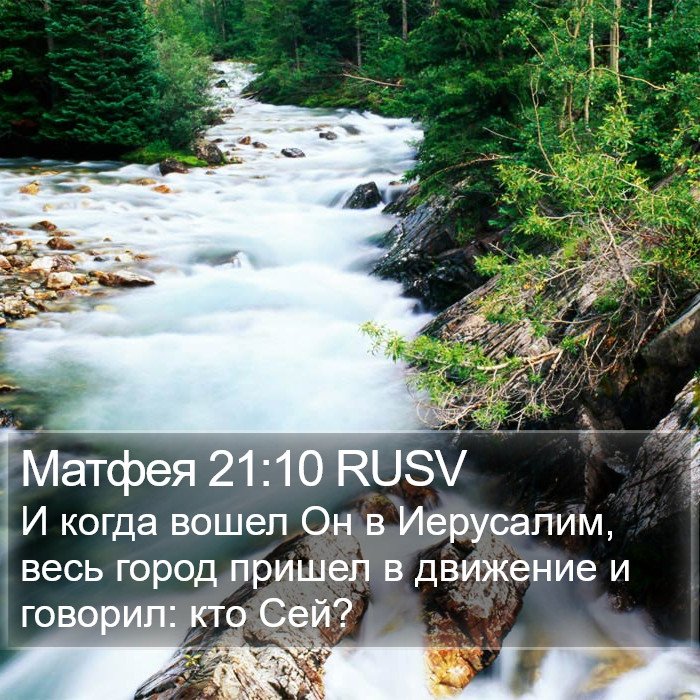 Матфея 21:10 RUSV Bible Study