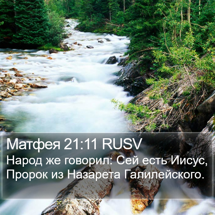 Матфея 21:11 RUSV Bible Study