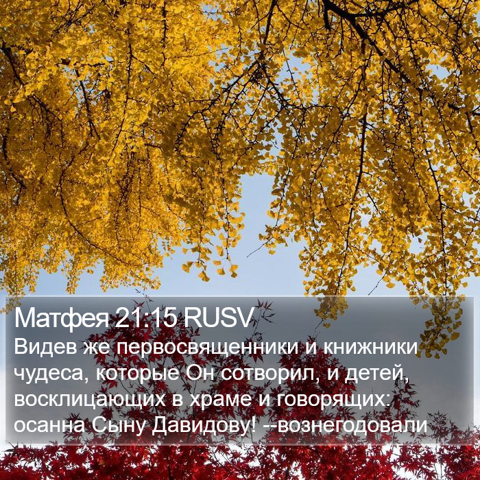 Матфея 21:15 RUSV Bible Study