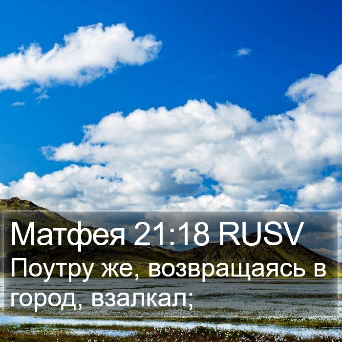 Матфея 21:18 RUSV Bible Study