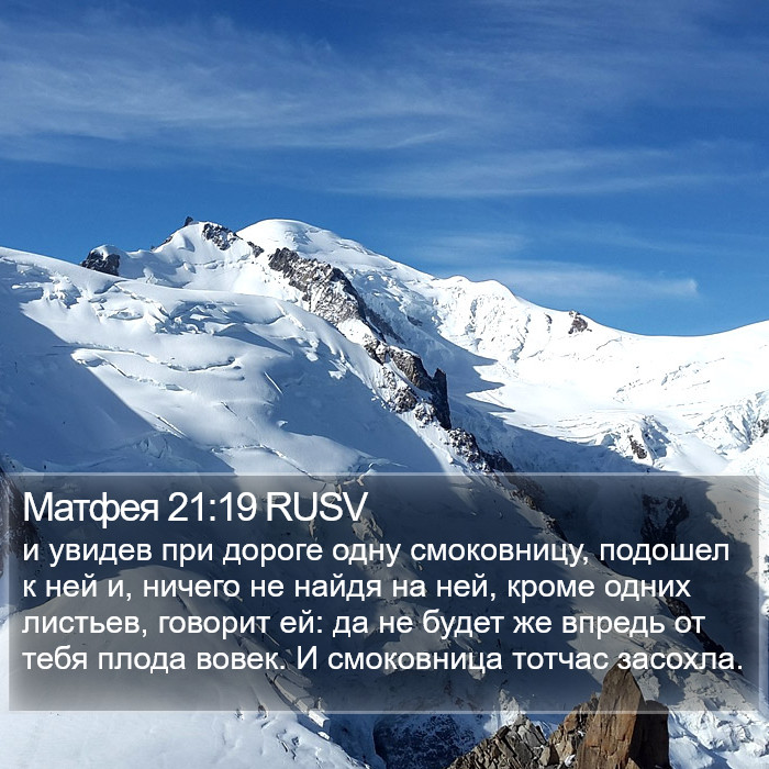 Матфея 21:19 RUSV Bible Study
