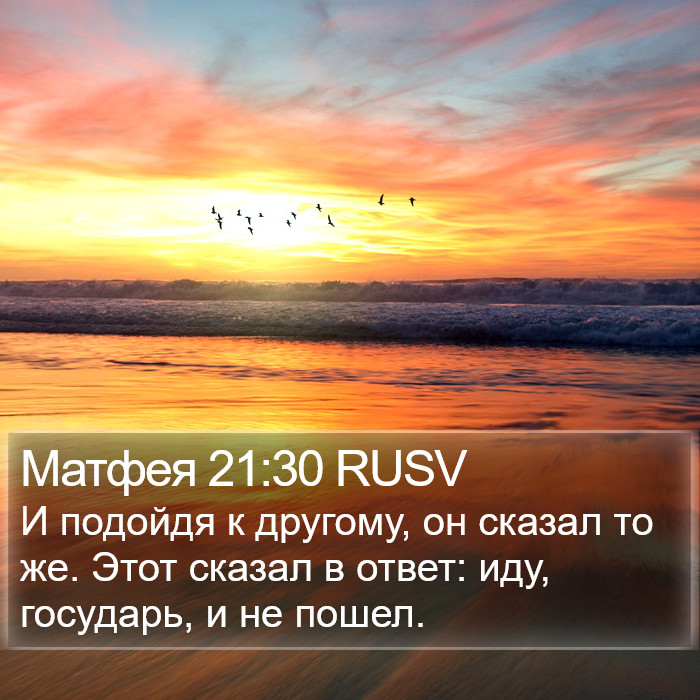 Матфея 21:30 RUSV Bible Study
