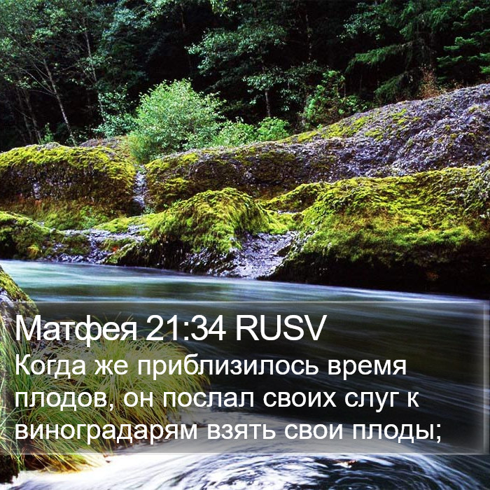 Матфея 21:34 RUSV Bible Study