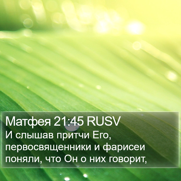 Матфея 21:45 RUSV Bible Study