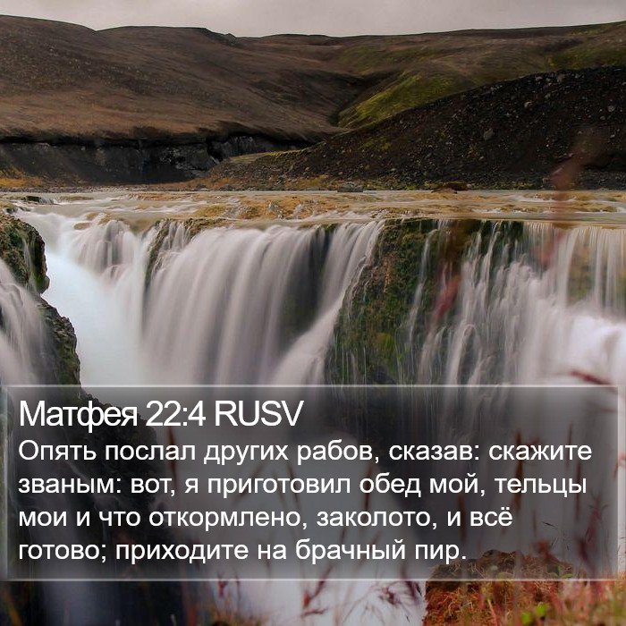 Матфея 22:4 RUSV Bible Study