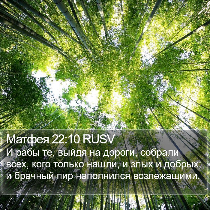 Матфея 22:10 RUSV Bible Study