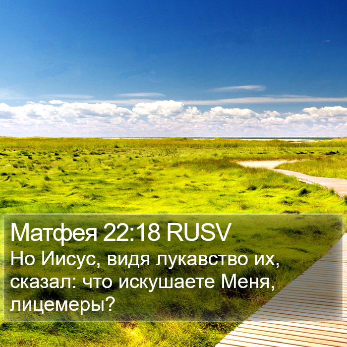 Матфея 22:18 RUSV Bible Study