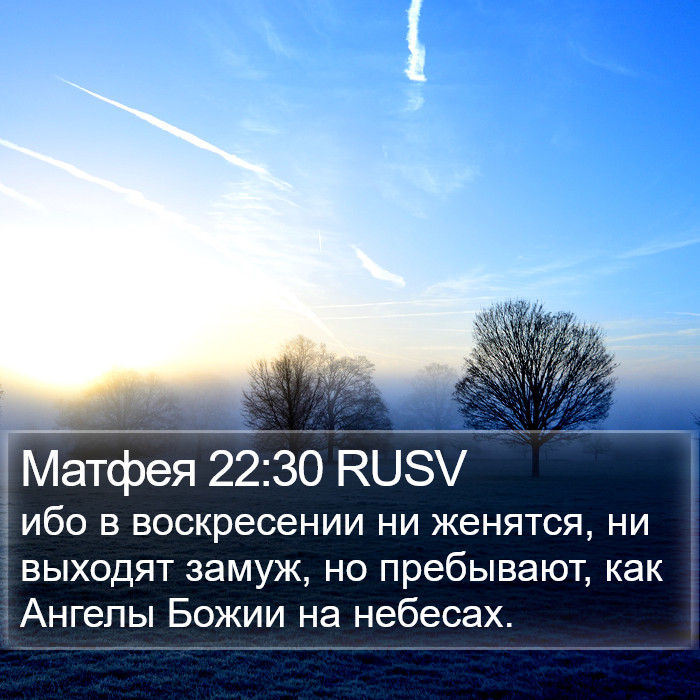 Матфея 22:30 RUSV Bible Study