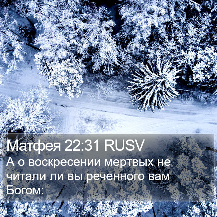 Матфея 22:31 RUSV Bible Study