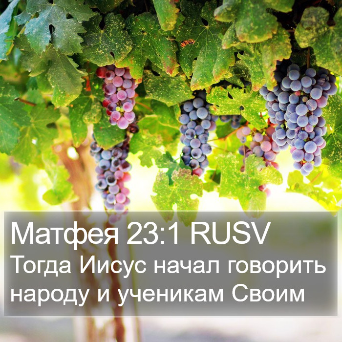 Матфея 23:1 RUSV Bible Study