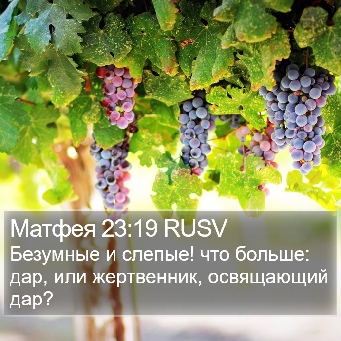 Матфея 23:19 RUSV Bible Study