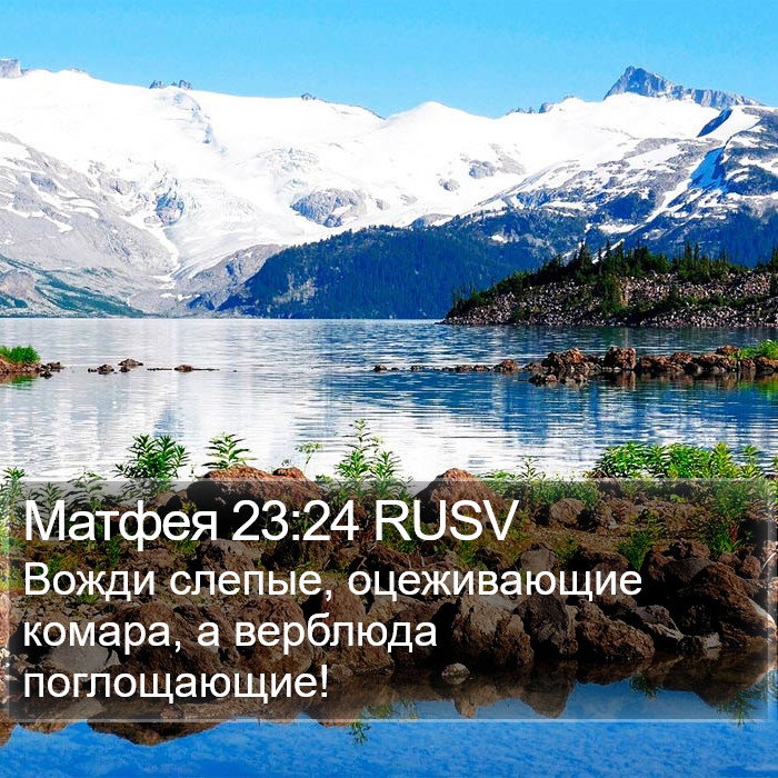 Матфея 23:24 RUSV Bible Study