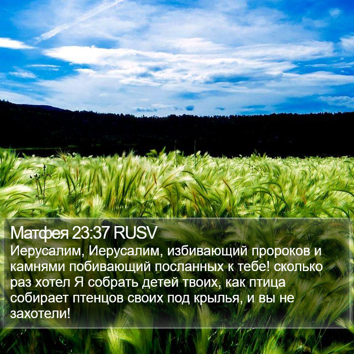 Матфея 23:37 RUSV Bible Study