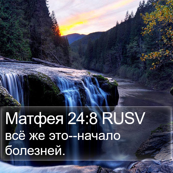 Матфея 24:8 RUSV Bible Study