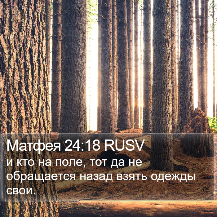 Матфея 24:18 RUSV Bible Study