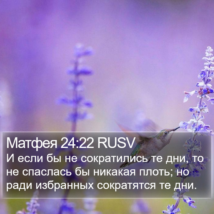 Матфея 24:22 RUSV Bible Study