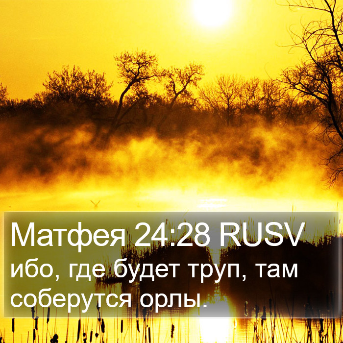 Матфея 24:28 RUSV Bible Study