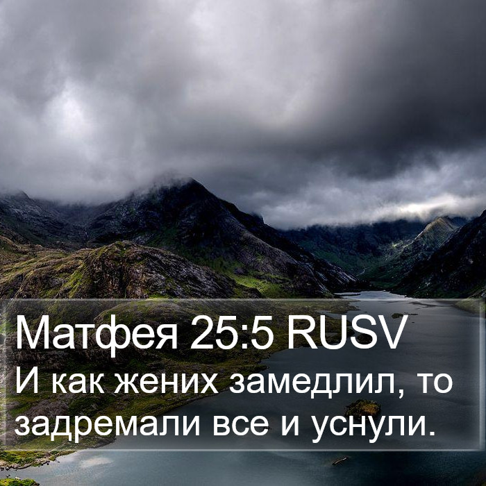 Матфея 25:5 RUSV Bible Study