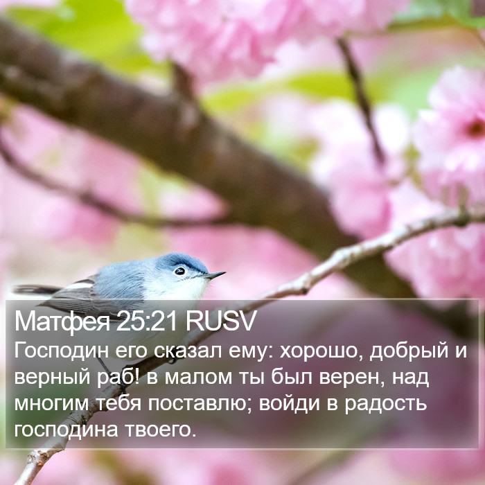 Матфея 25:21 RUSV Bible Study
