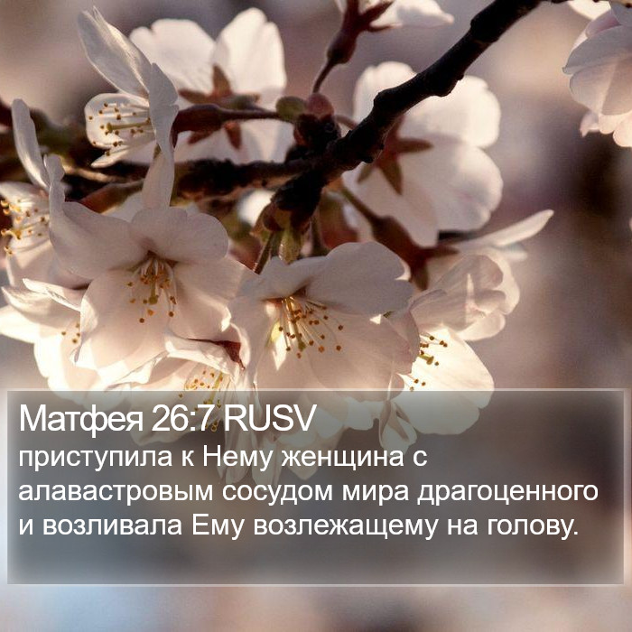 Матфея 26:7 RUSV Bible Study