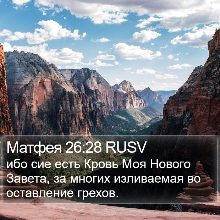 Матфея 26:28 RUSV Bible Study