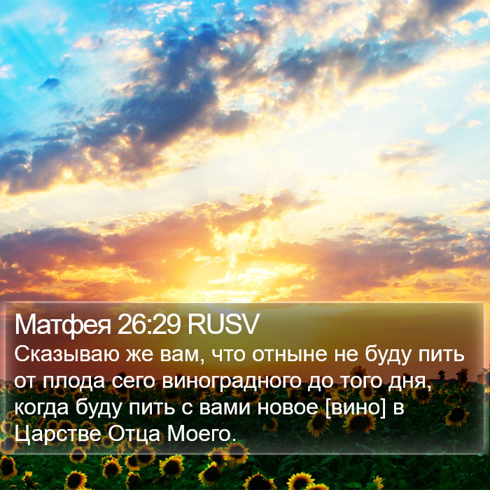 Матфея 26:29 RUSV Bible Study