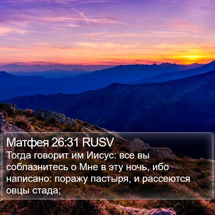 Матфея 26:31 RUSV Bible Study