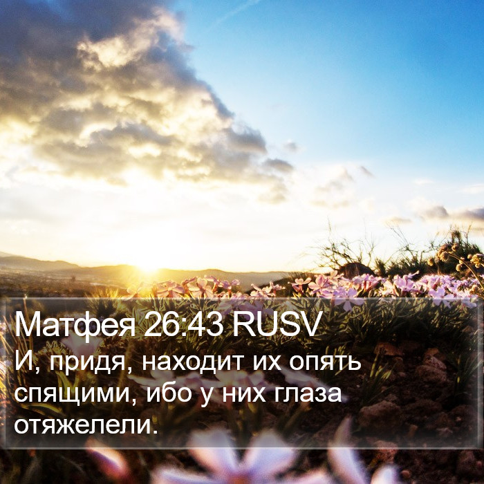 Матфея 26:43 RUSV Bible Study