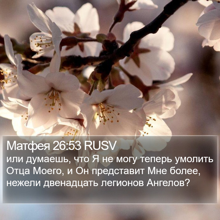 Матфея 26:53 RUSV Bible Study