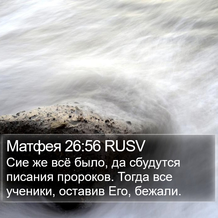 Матфея 26:56 RUSV Bible Study
