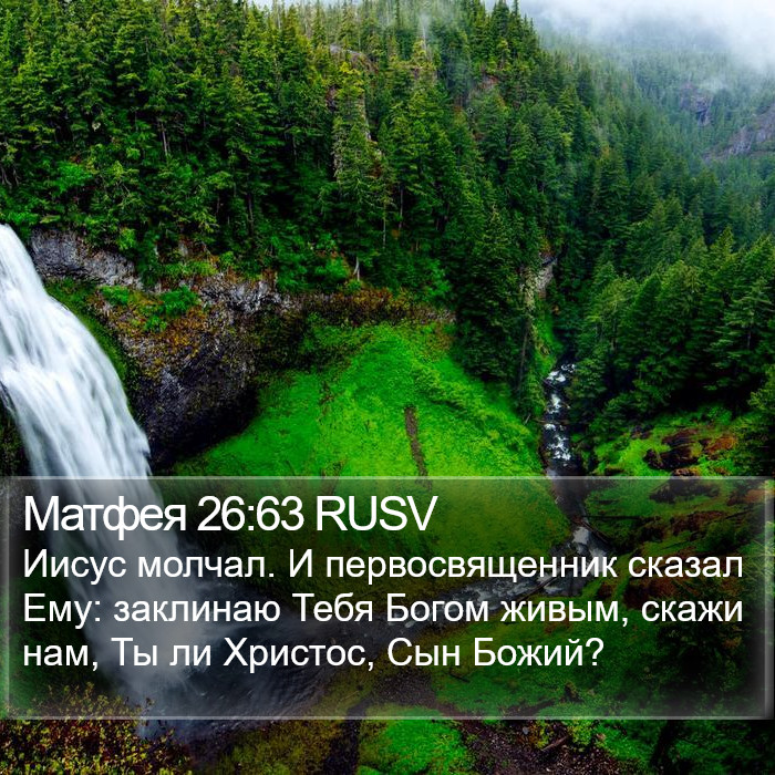 Матфея 26:63 RUSV Bible Study