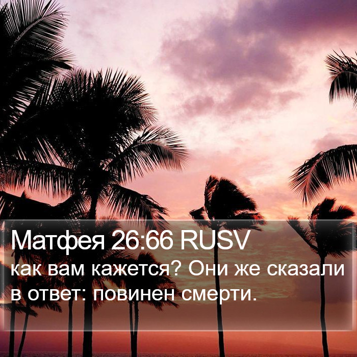 Матфея 26:66 RUSV Bible Study