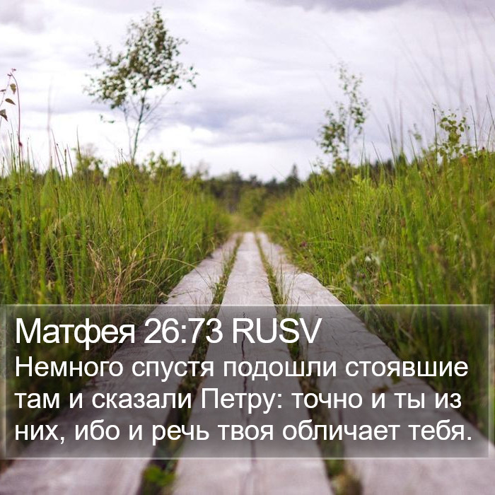 Матфея 26:73 RUSV Bible Study