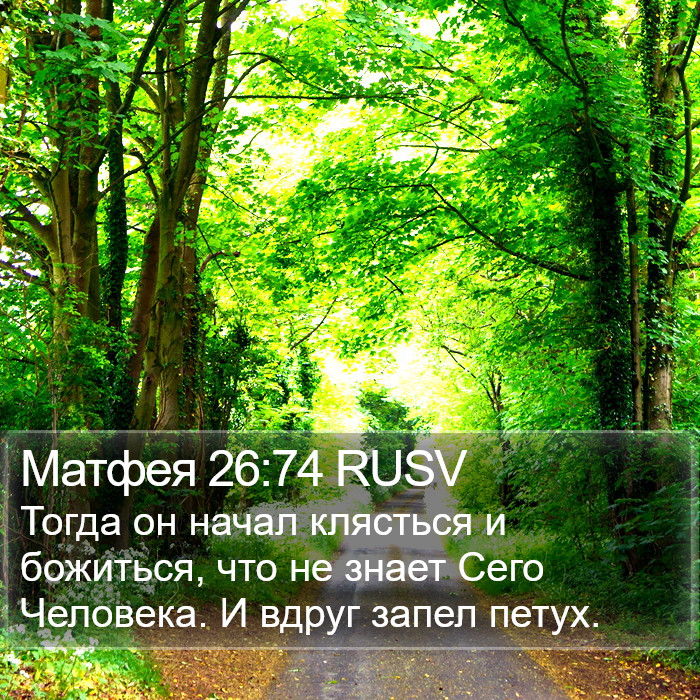 Матфея 26:74 RUSV Bible Study