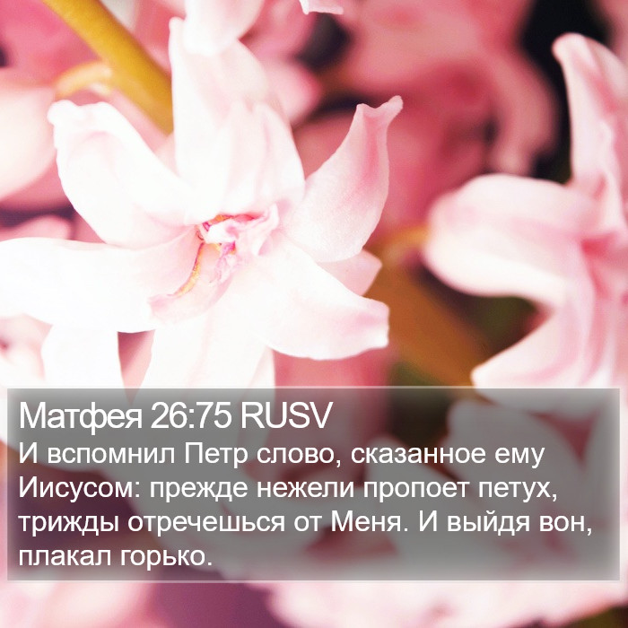 Матфея 26:75 RUSV Bible Study