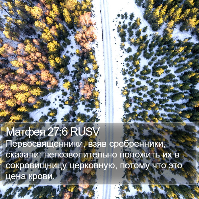 Матфея 27:6 RUSV Bible Study