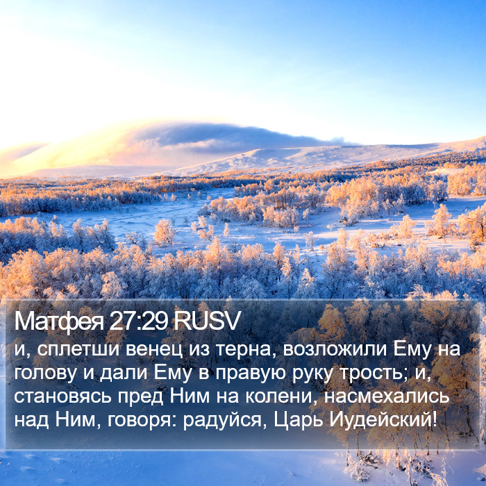 Матфея 27:29 RUSV Bible Study