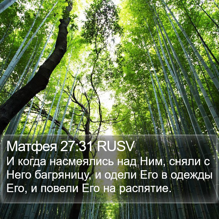 Матфея 27:31 RUSV Bible Study