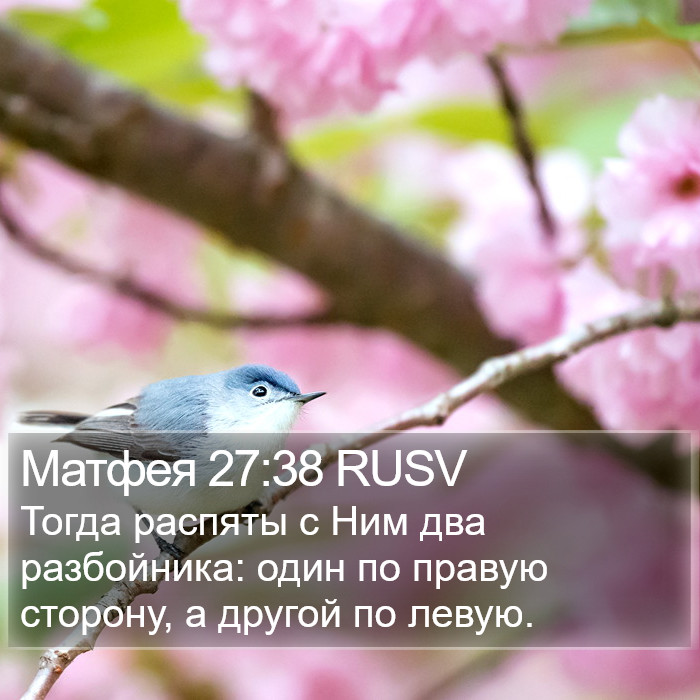 Матфея 27:38 RUSV Bible Study