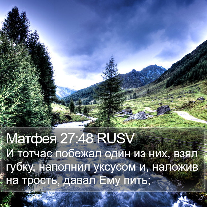 Матфея 27:48 RUSV Bible Study