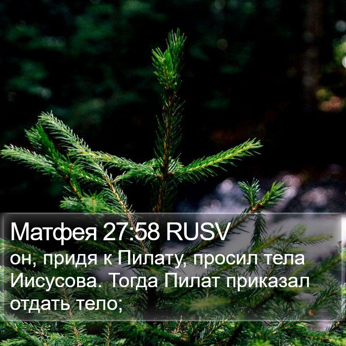 Матфея 27:58 RUSV Bible Study