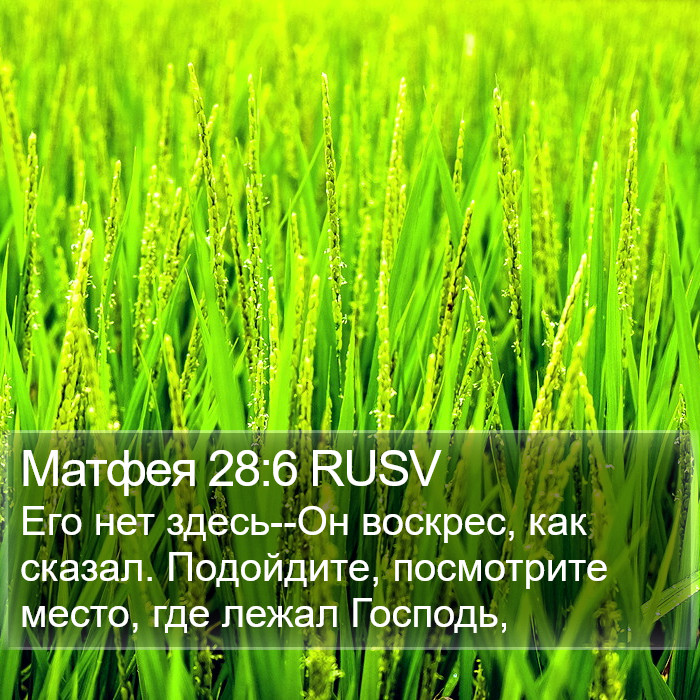 Матфея 28:6 RUSV Bible Study