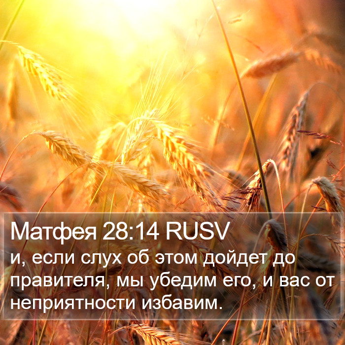 Матфея 28:14 RUSV Bible Study